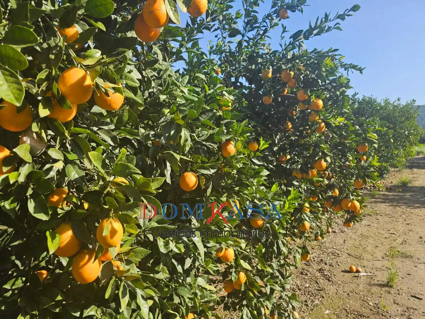Rural land for sale in Bítem, imagen 2