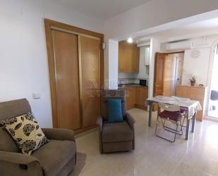 Living room of Study for sale in Mont-roig del Camp  with Air Conditioner and Balcony