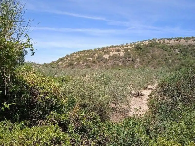 Casa rústica en venda a Morón de la Frontera, imagen 10