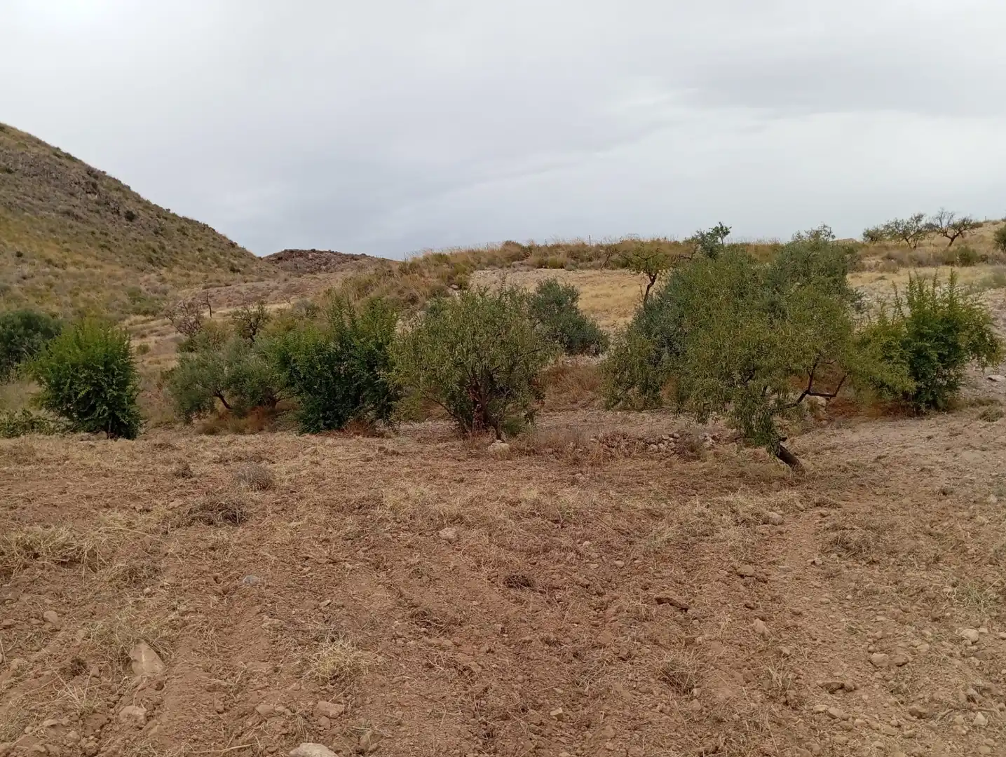 Terreni e lotti in vendita a Bolnuevo, imagen 10