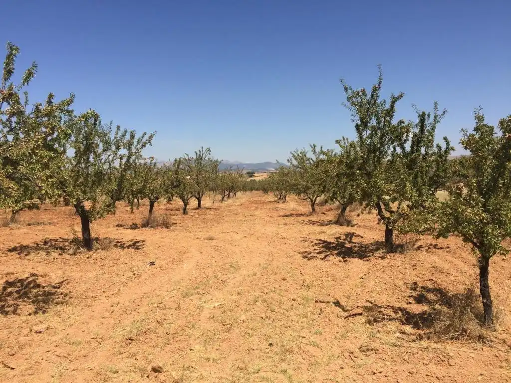 Residential for sale in Dílar