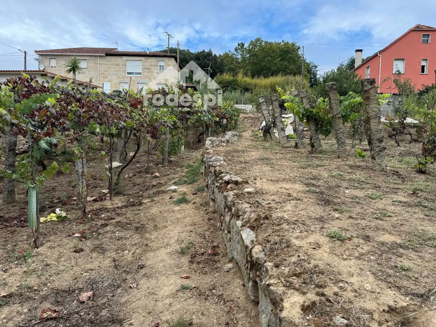 Others for sale in Cortegada, imagen 14