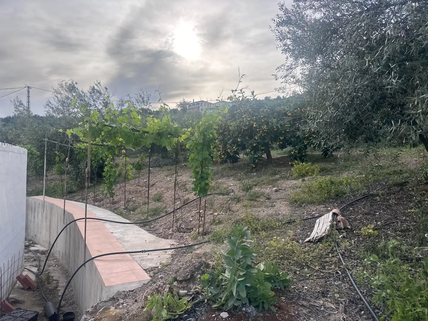 Finca rústica en venda en Alcaucín amb Jardí privat, Terrassa i Moblat