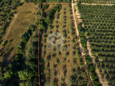 Terreno rustico in vendita a Garriguella