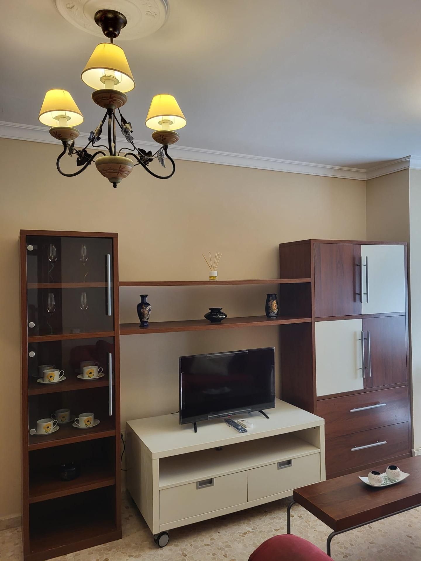 Sala d'estar de Pis en venda en San Fernando