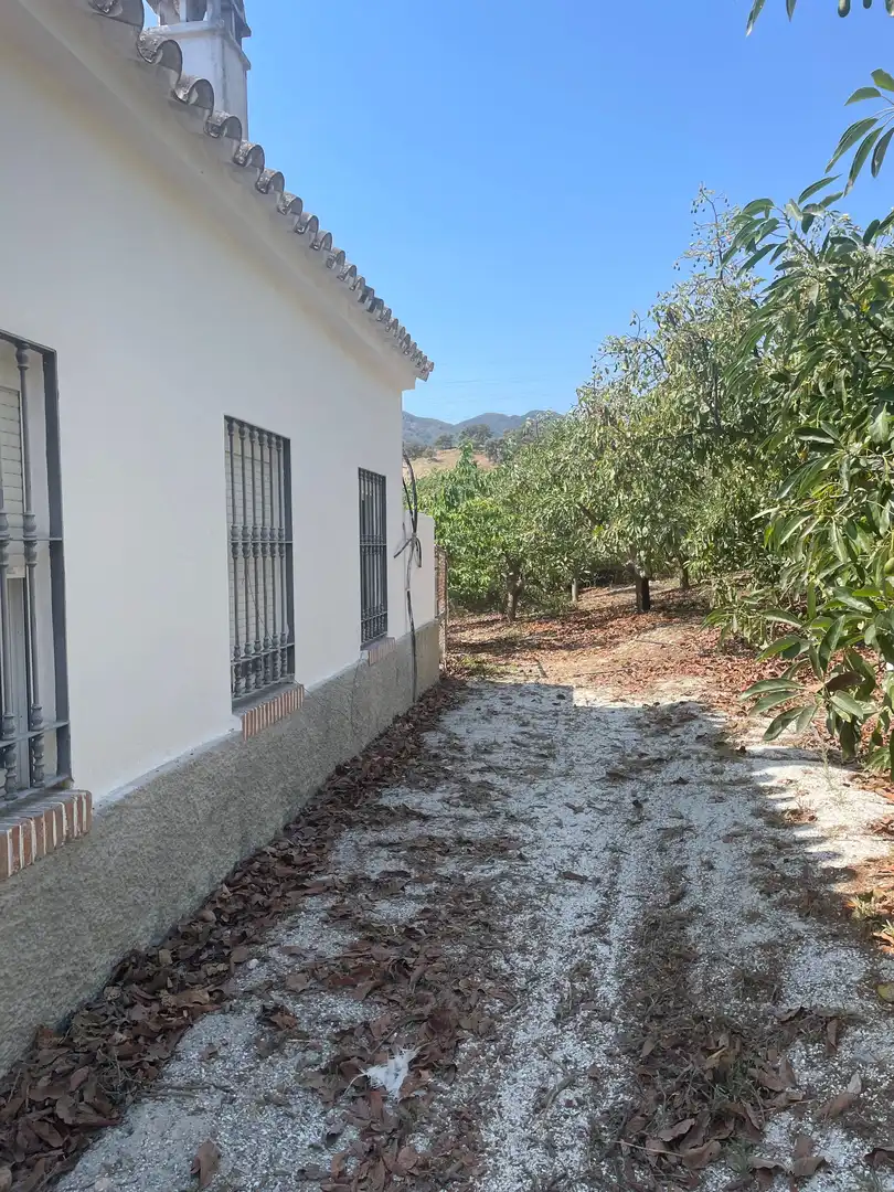 Terreni e lotti in vendita a Coín, imagen 17