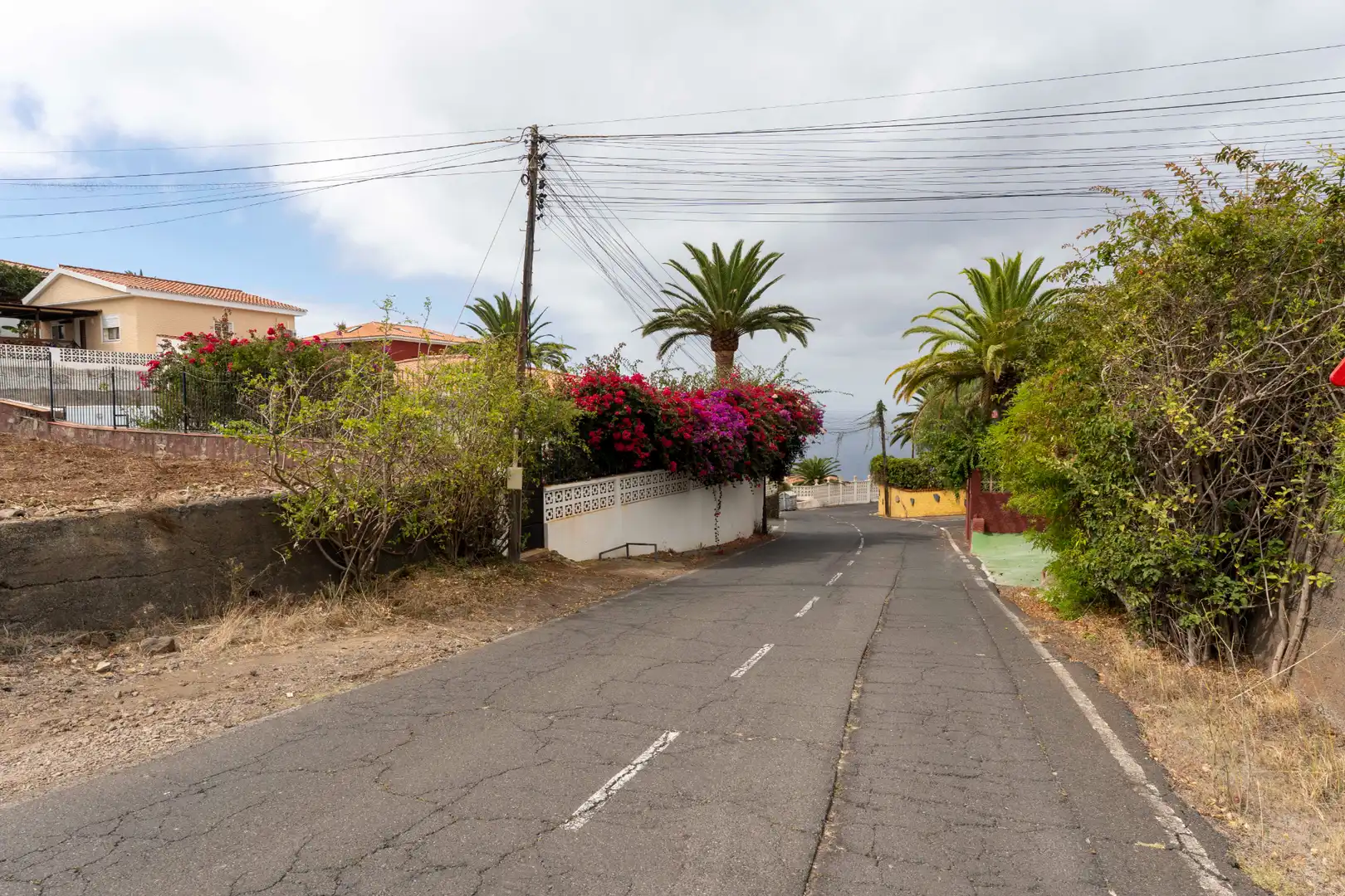 Vista exterior de Terreno en venta en Tacoronte