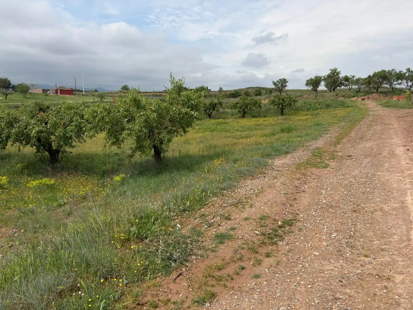Terreno rústico en venta en Lardero, imagen 7