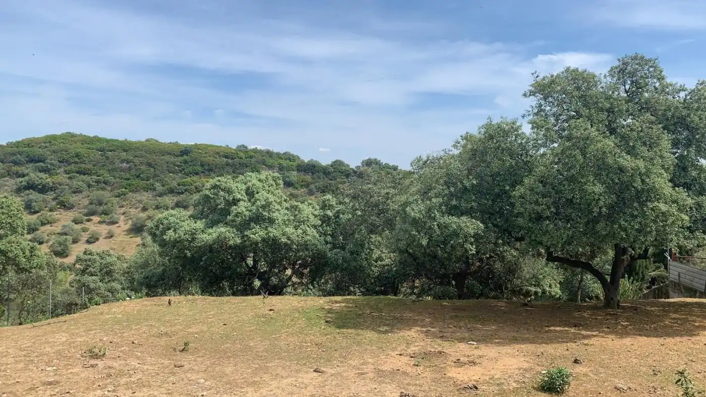 Residential land for sale in Periurbano Norte, imagen 6