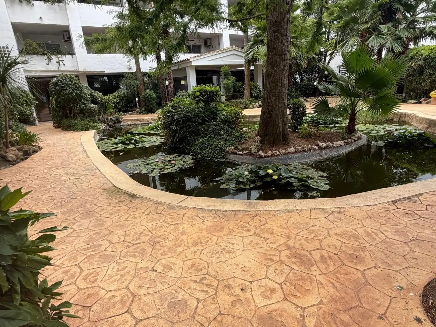 Appartement compact avec piscine à vendre à PORT JOAN 2, imagen 24