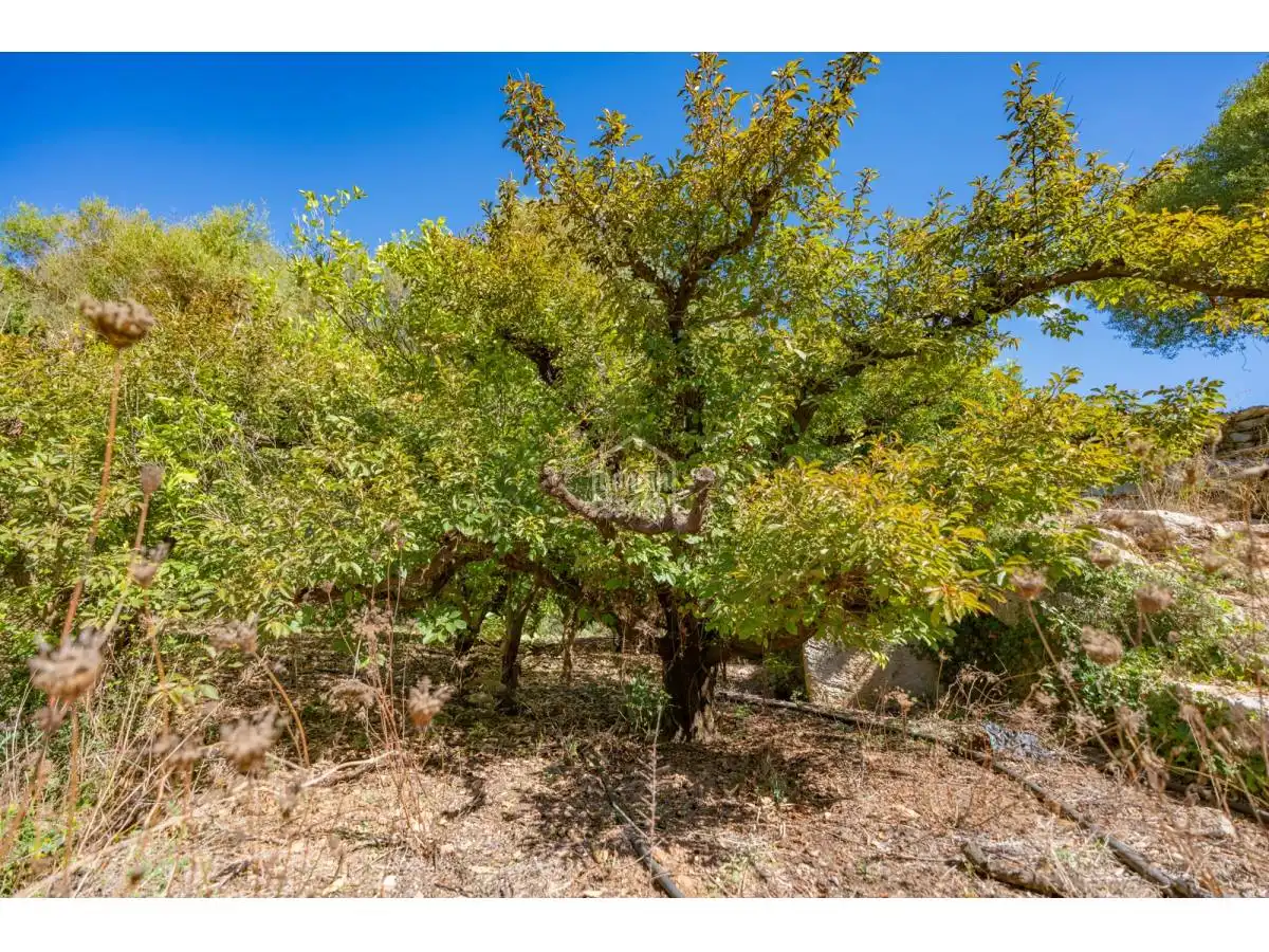 Maison rustique avec jardin à vendre à Alaior poble, imagen 27