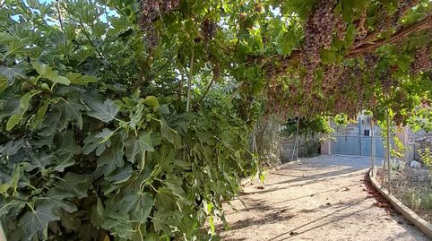 Foto 5 de Finca rústica en venta en Berja, Almería