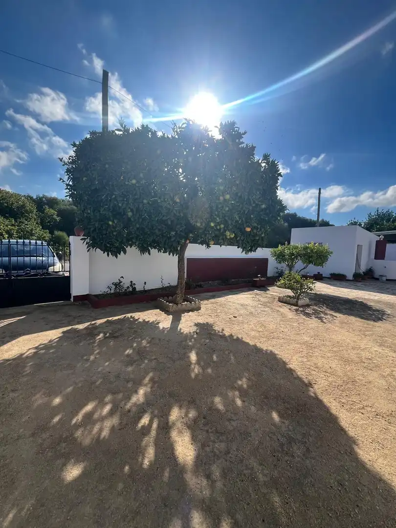 Casa rústica en venda a Vejer, imagen 8