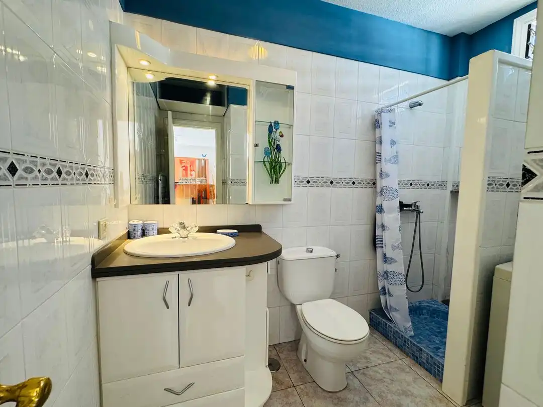 Bathroom of Apartments for rent in Arona