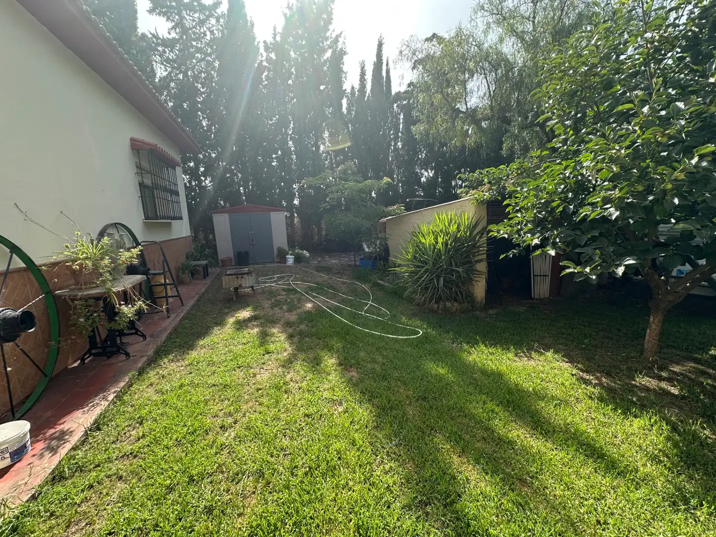 Lands and plots for sale in Centro, imagen 22