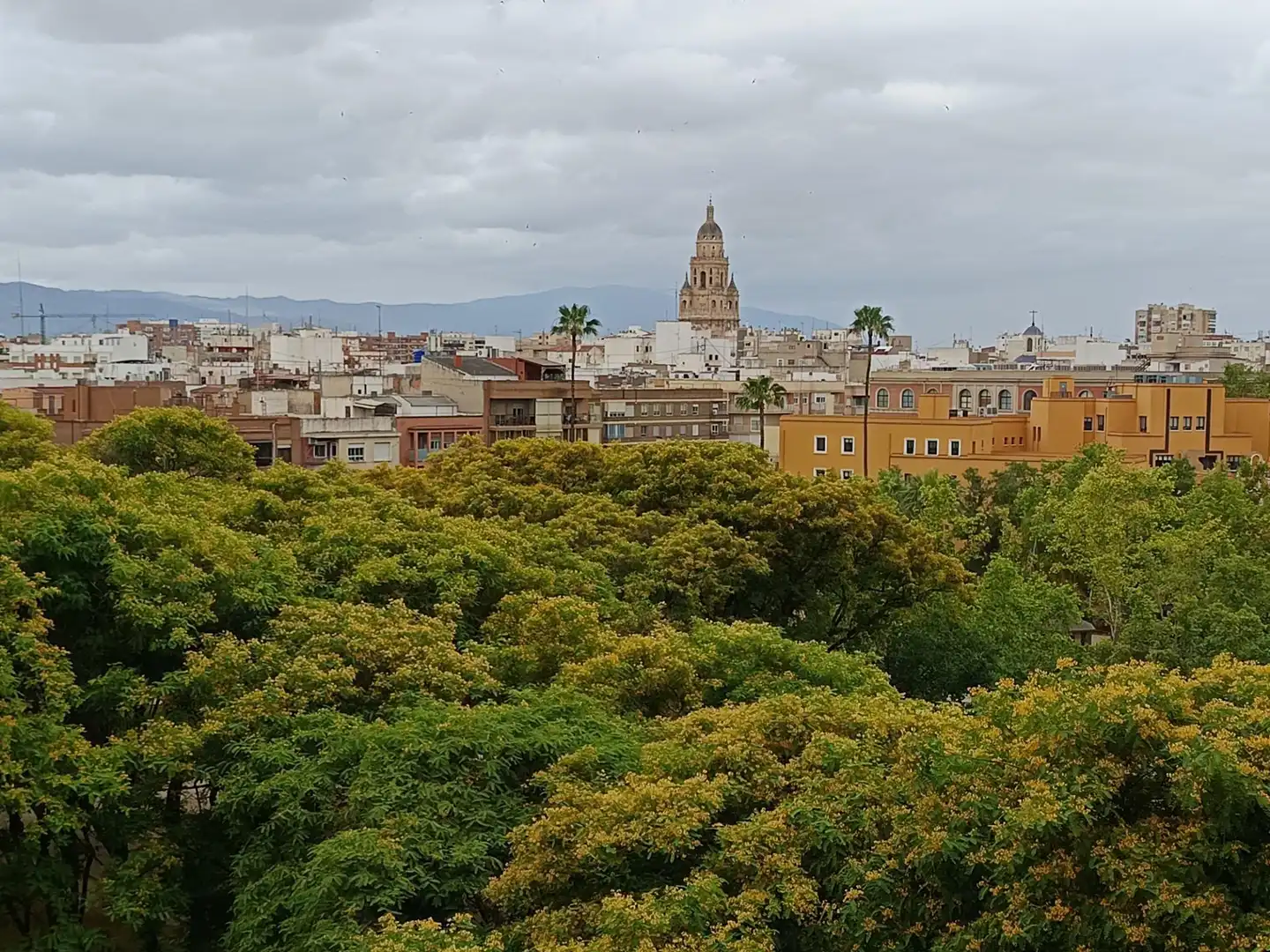 Vista exterior de Piso en venta en Murcia con Aire acondicionado, Parquet y Amueblado