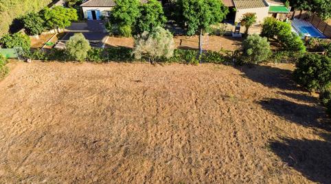 Foto 3 de Casa o xalet en venda a Pelagatos - Pago del Humo, Cádiz