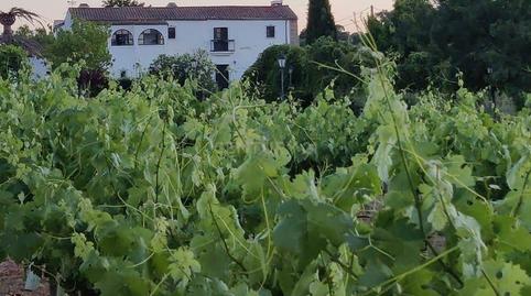Foto 2 de Casa o xalet en venda a Fn Viñas Matacaceres (cáceres), -1, Ruta de la Plata, Cáceres