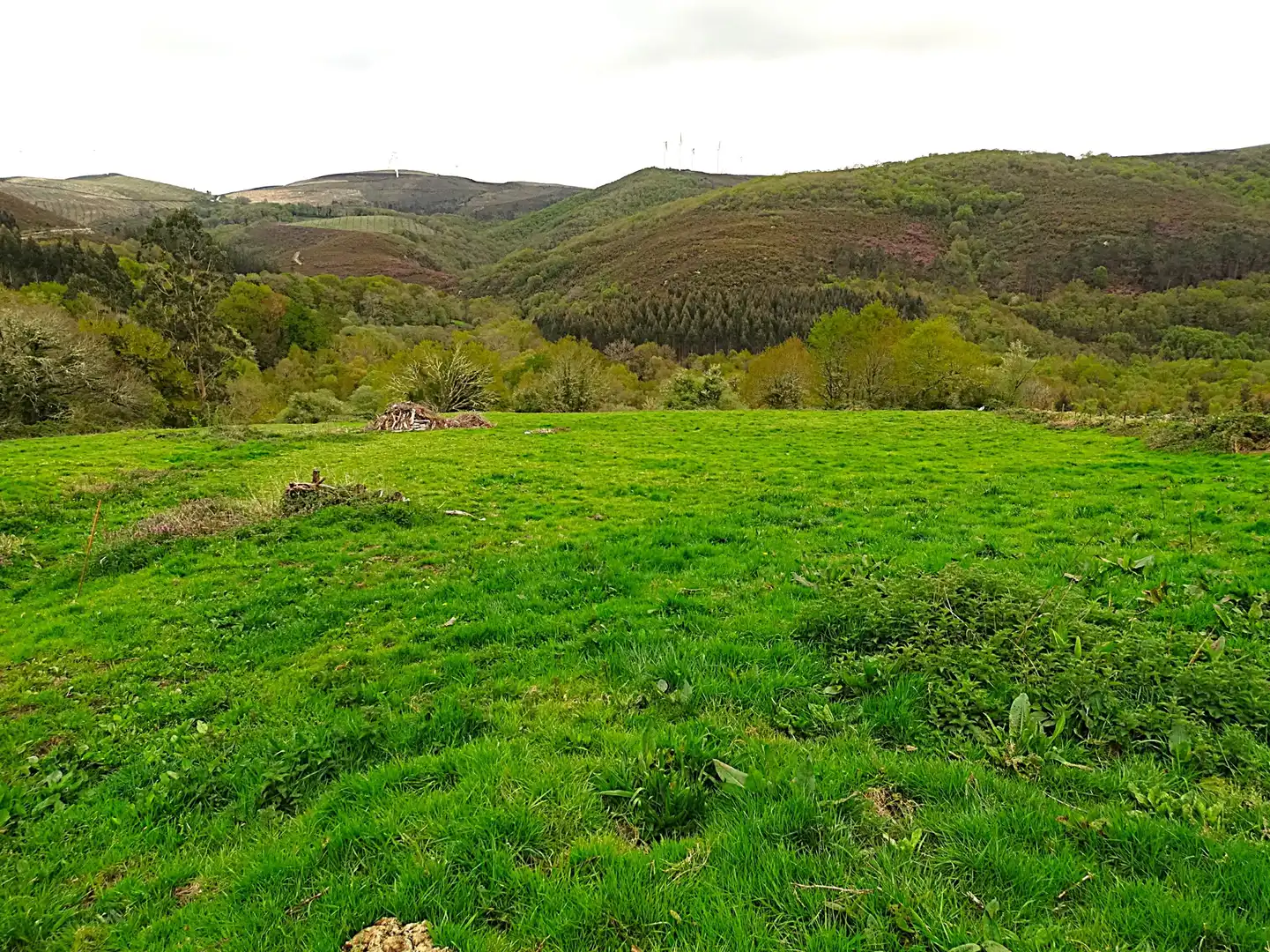 Country homes for sale in Muras