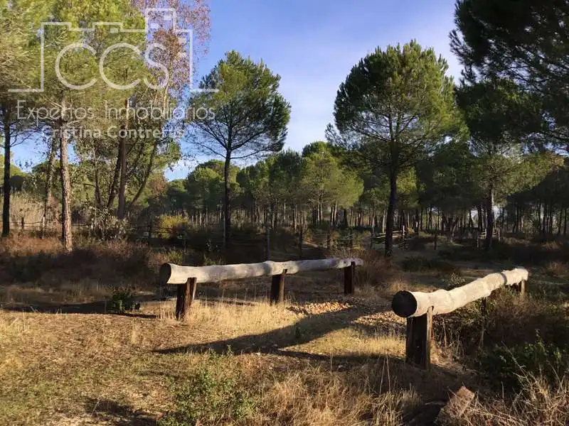 Terreni e lotti in vendita a Almonte ciudad, imagen 17