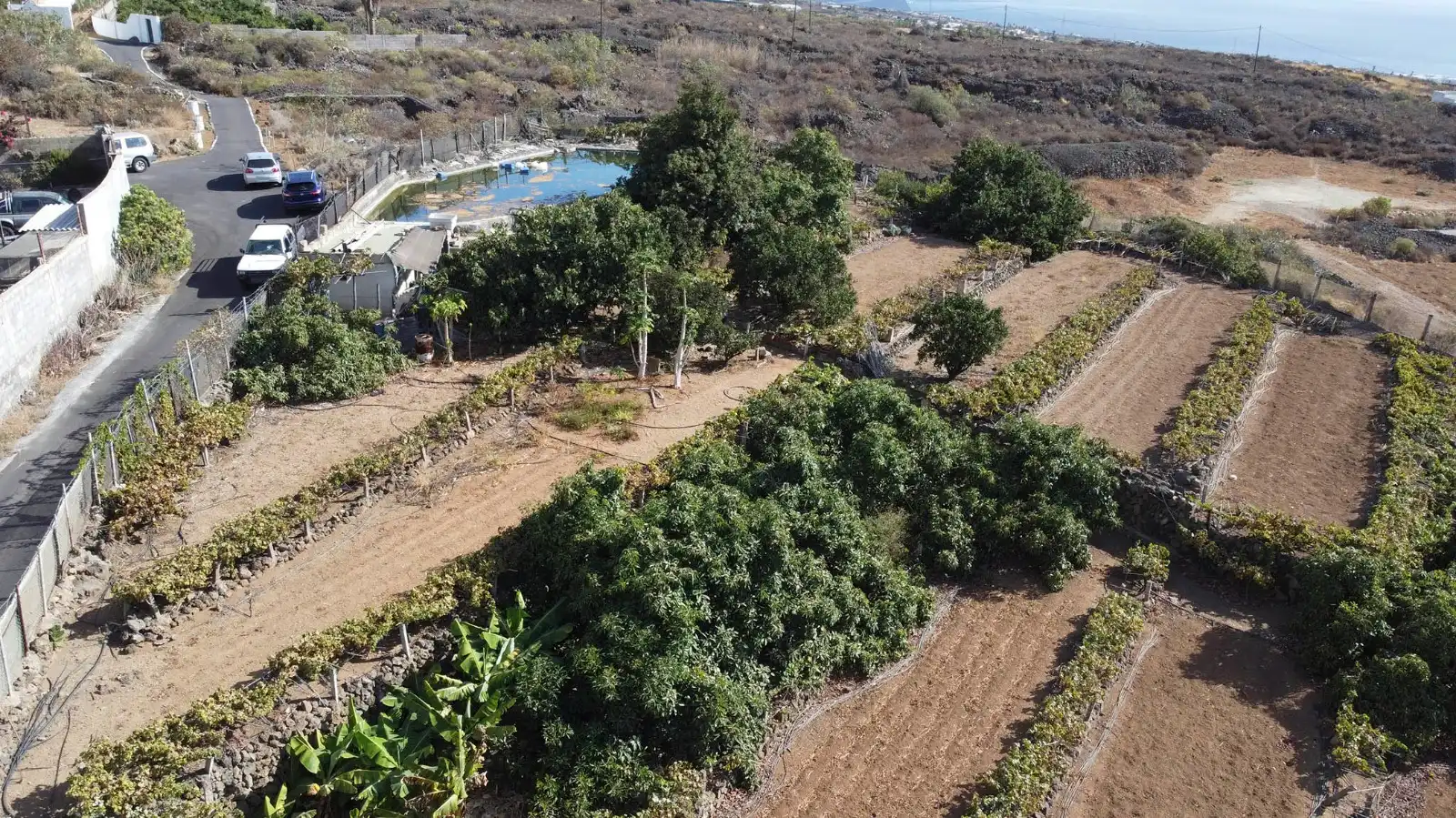 Terreno en venta en Arafo, Santa Cruz de Tenerife