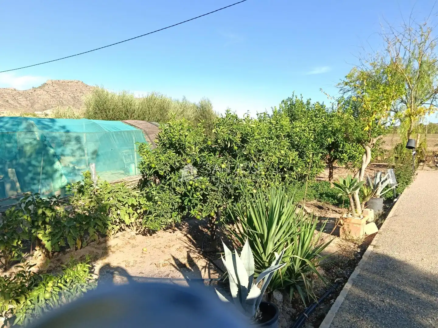 Chalet con jardín en venta en Pedanías Oeste, imagen 44