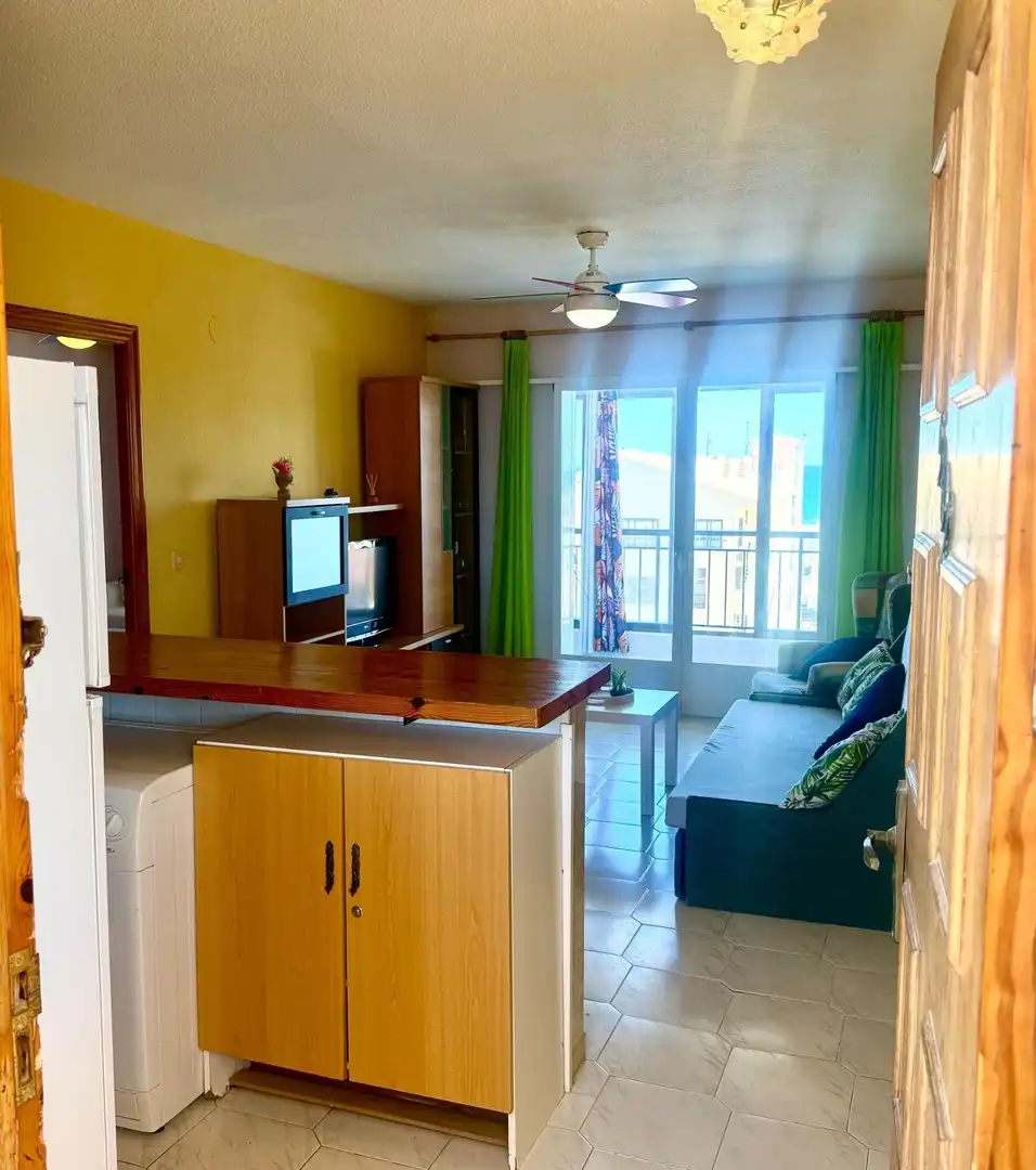 Sala de estar de Ático en venta en Torrevieja