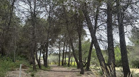 Terreno Rústico en venta en Segorbe., immagine 2