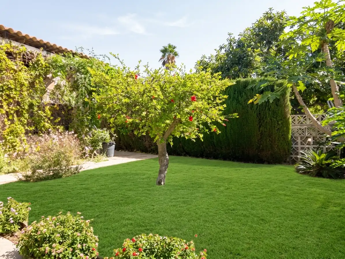 Chalet con jardín en venta en Río Real - Los Monteros, imagen 14