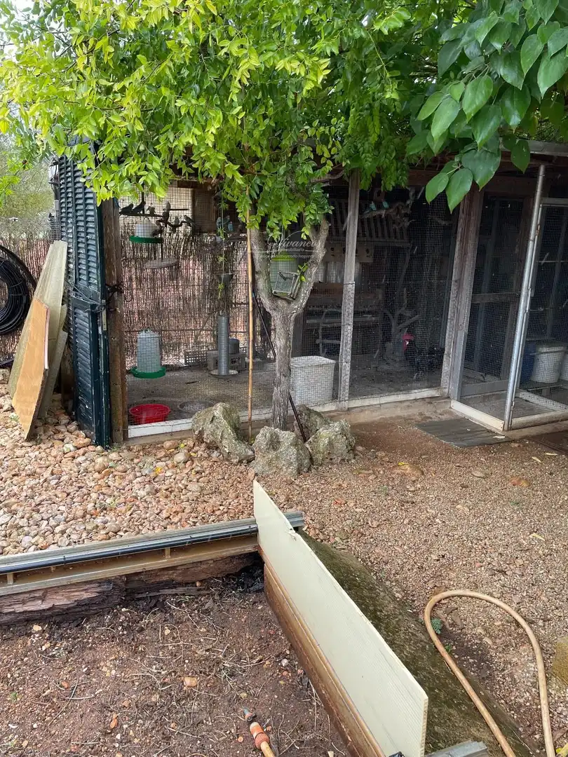 Villa con piscina in vendita a ma 3020, imagen 13