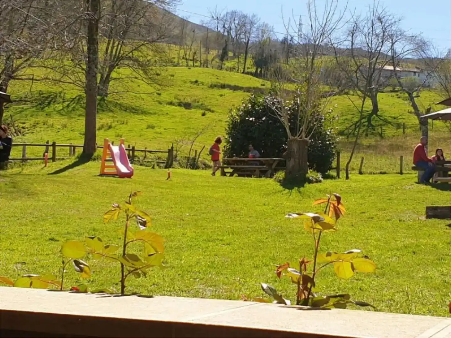 Jardín de Piso en venta en Nava con Jardín privado y Amueblado