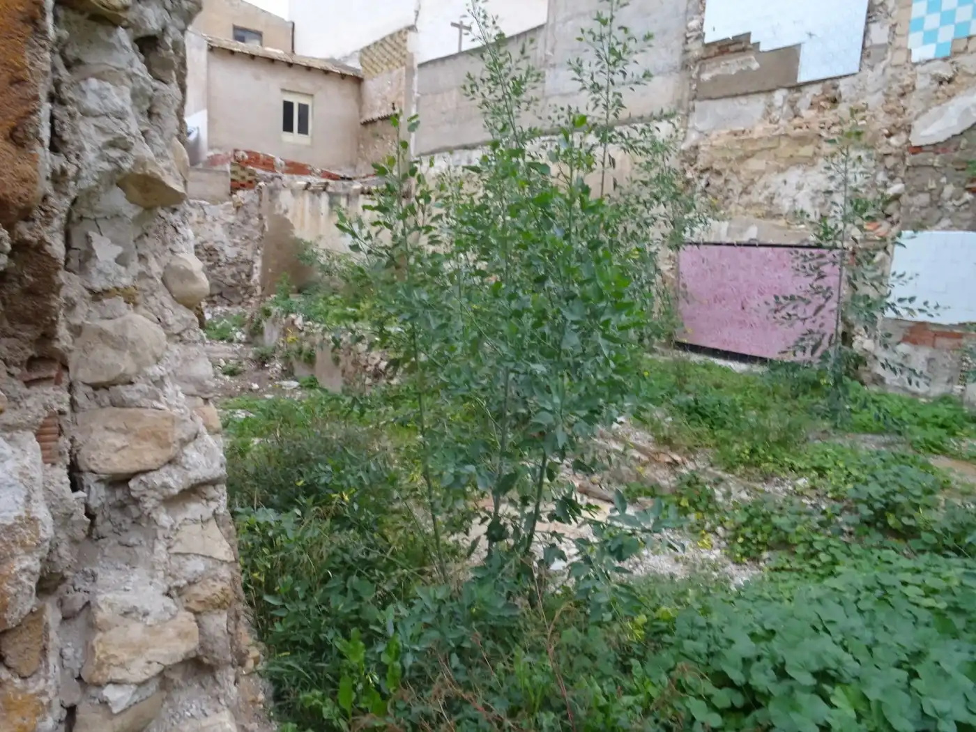 Terreno residencial en venta en Aspe Centro