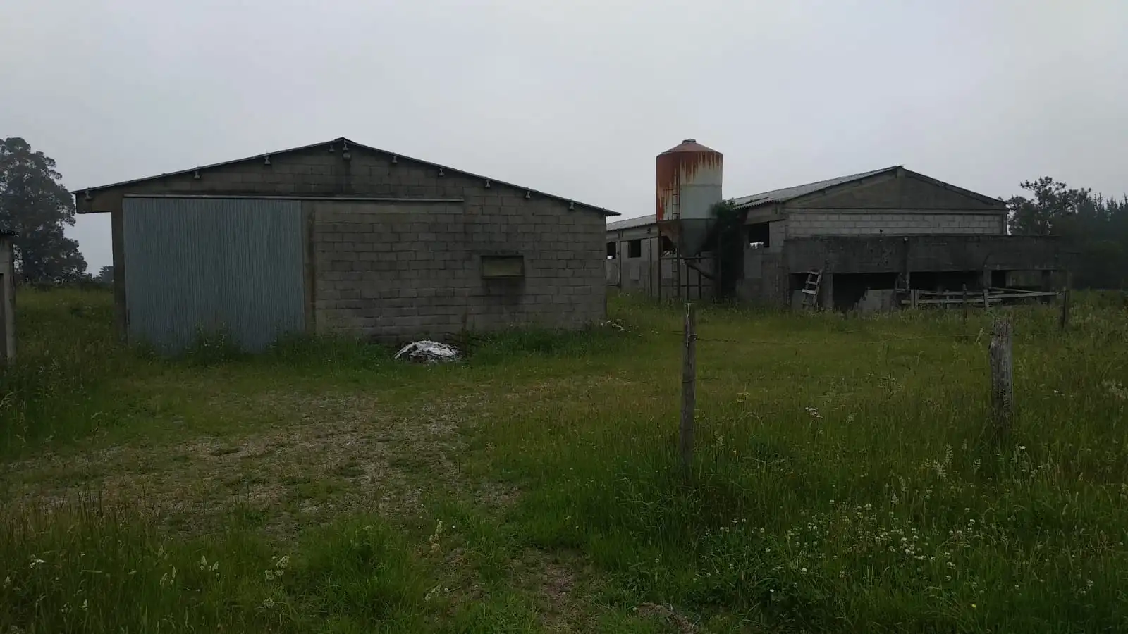 Industriegebäude zur Miete in Curtis, imagen 3
