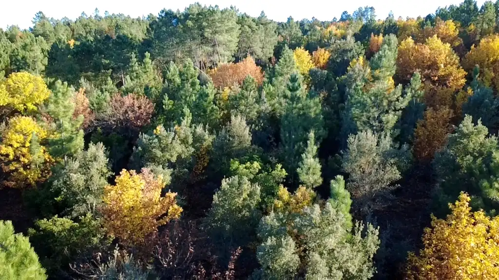 Terreni e lotti in vendita a Galaroza, imagen 9