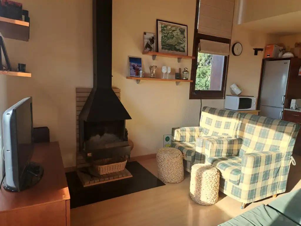 Sala de estar de Dúplex de alquiler en Puigcerdà con Calefacción, Parquet y Terraza