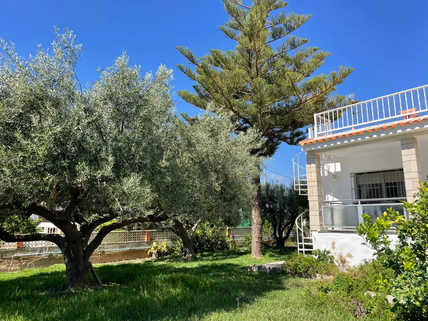 Jardí de Casa o xalet en venda en Vinaròs amb Calefacció, Jardí privat i Terrassa