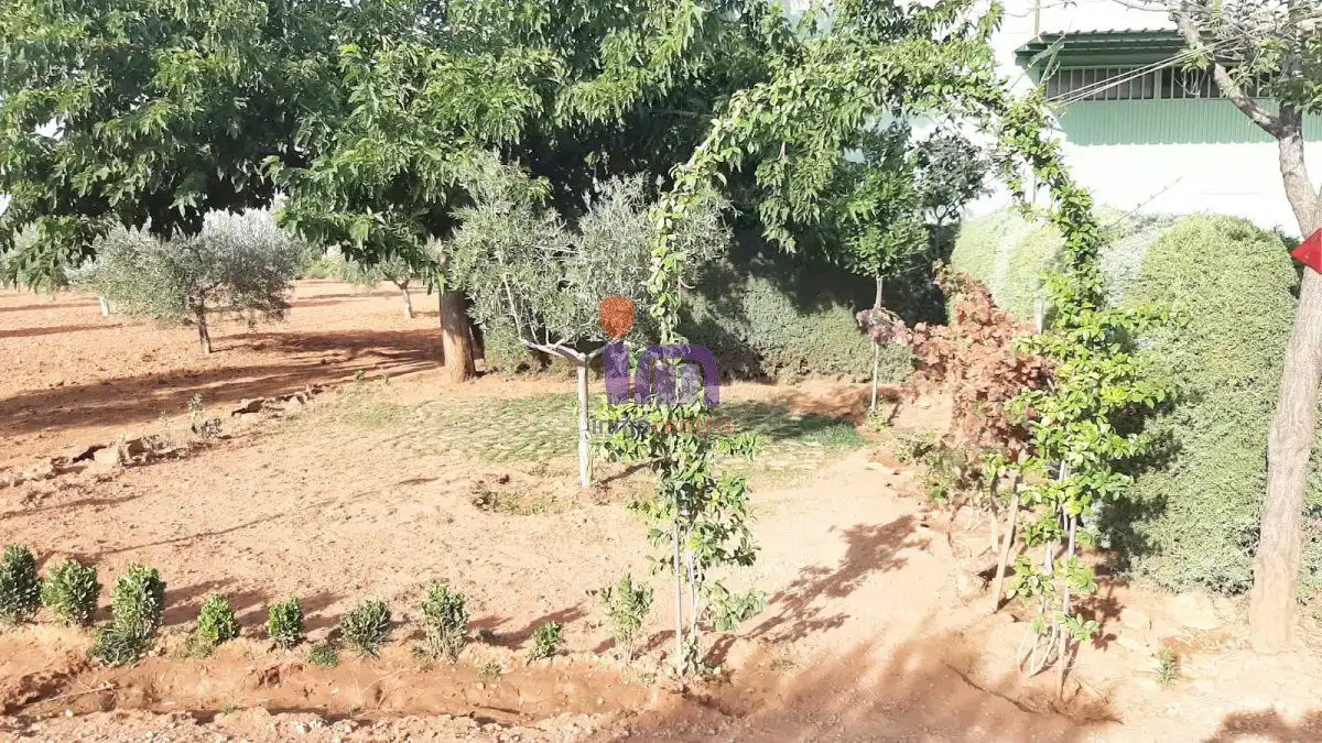 Casa rústica en venda a Valdepeñas, imagen 17