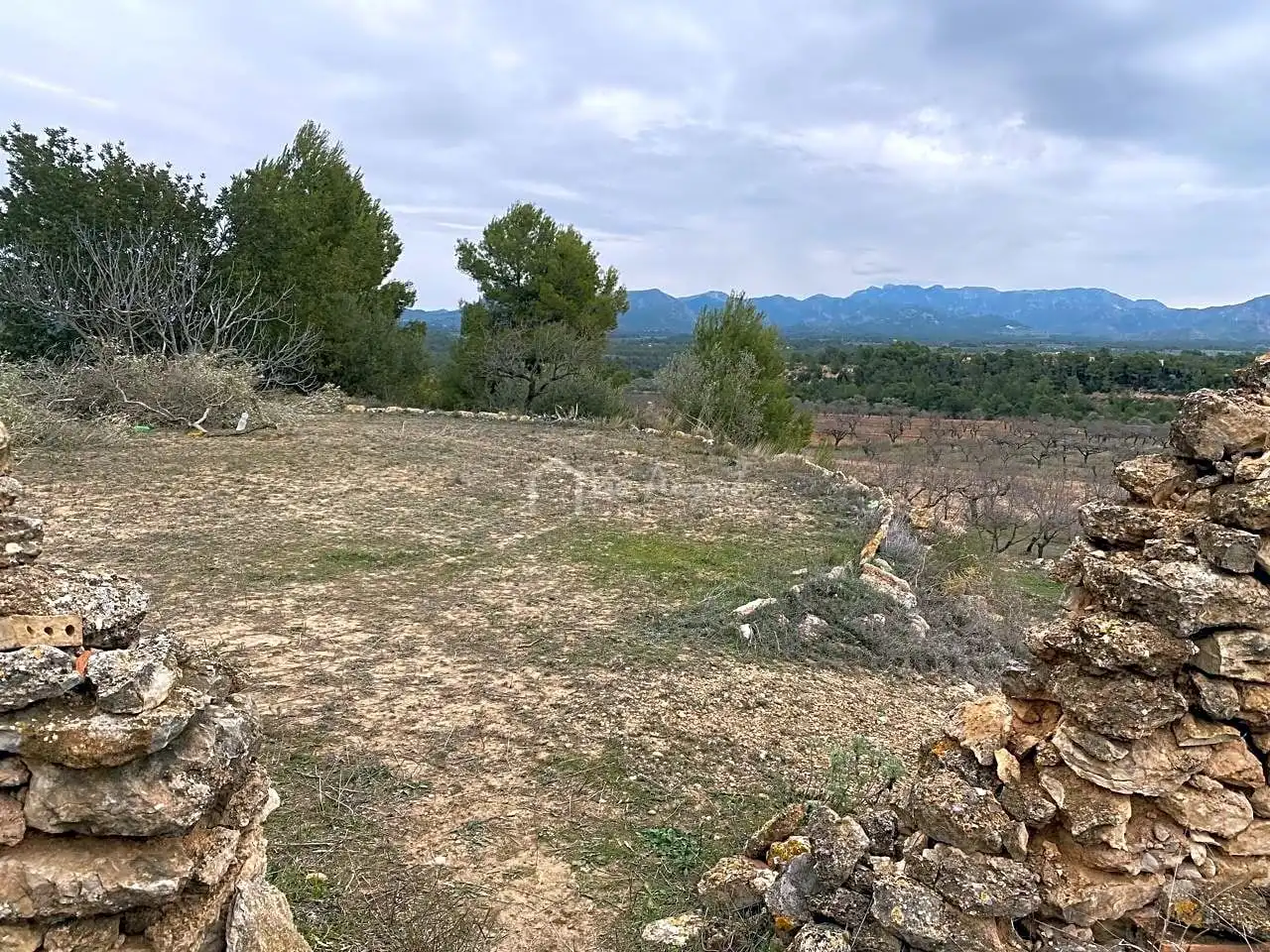 Terrain rustique à vendre à PLANELLES, imagen 13