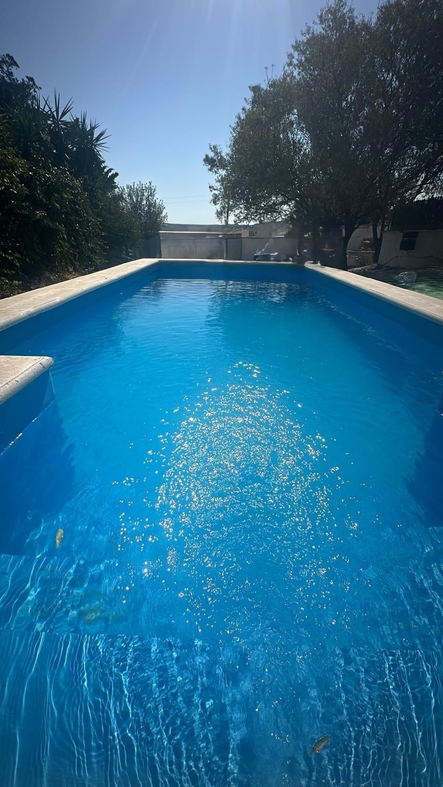 Piscina de Casa o chalet en venta en Chiclana de la Frontera con Piscina