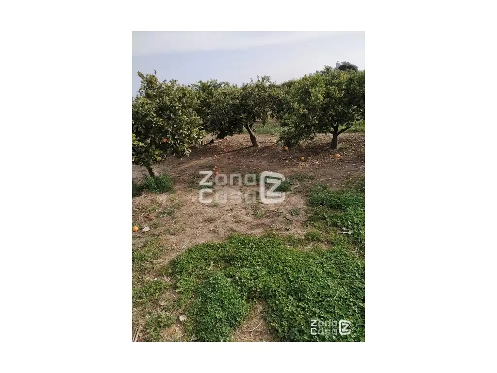 Country house for sale in Algemesí, imagen 4