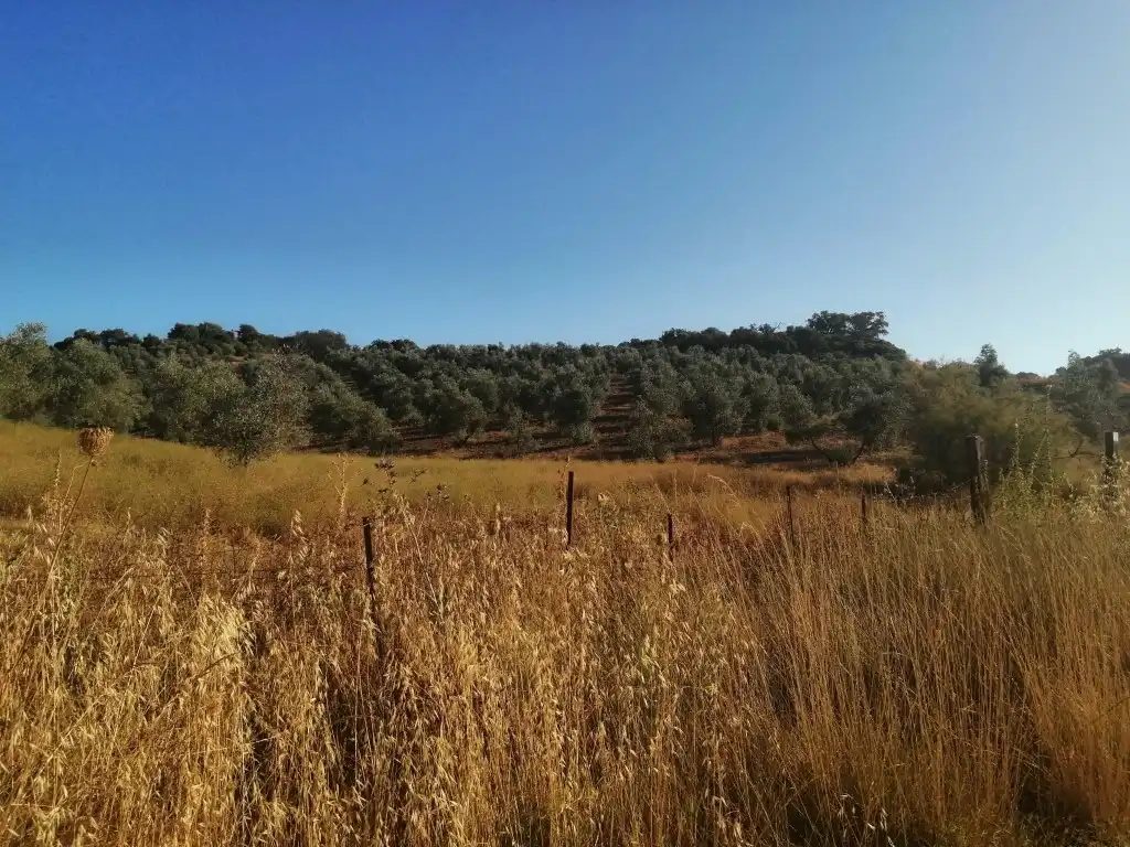 Residential for sale in Morón de la Frontera