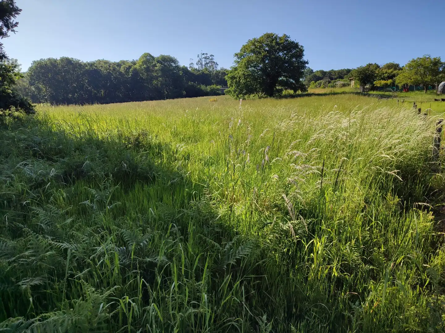 Residential land for sale in Parroquias de Santiago, imagen 7