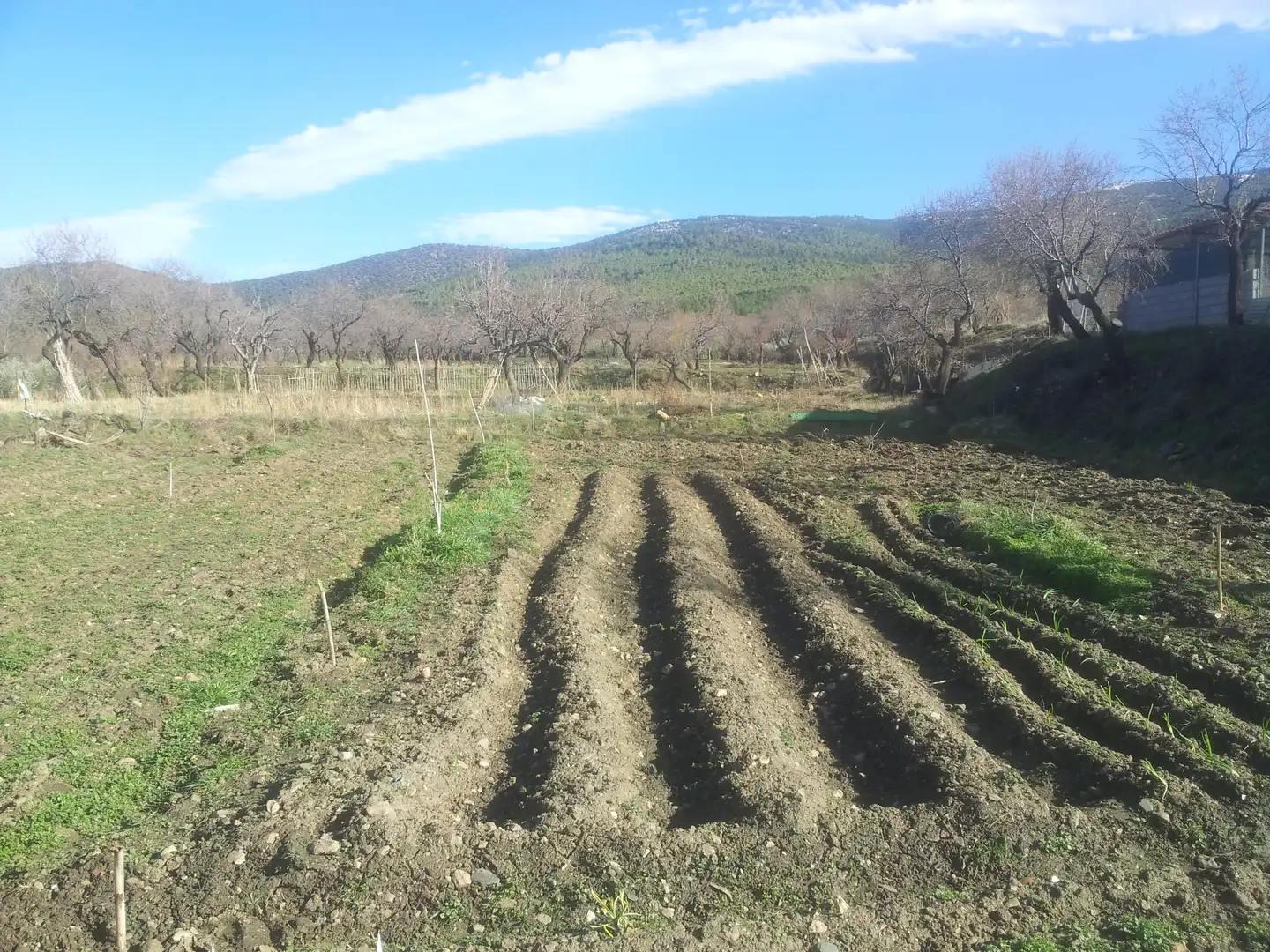 Lands and plots for sale in Lanteira, imagen 5
