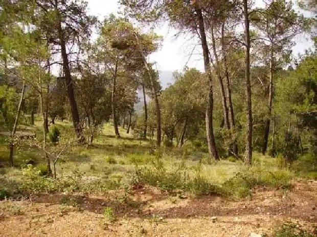 Terreno residenziale in vendita a Seva, imagen 5