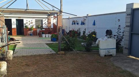 Foto 5 de Terreno en venta en Pedanías Norte, Utrera