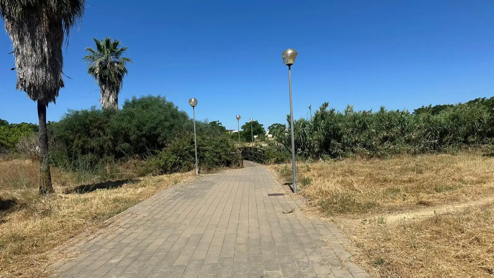 Terreni e lotti in vendita a Calle Cruz del Sur, imagen 23