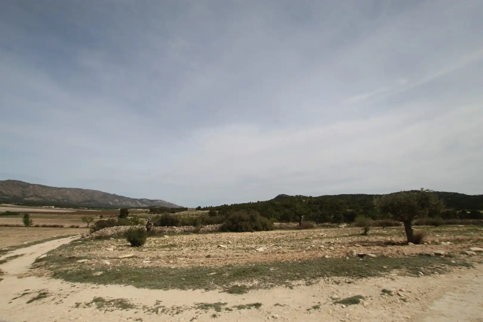 Maison rustique à vendre à Monóvar  / Monòver, imagen 14