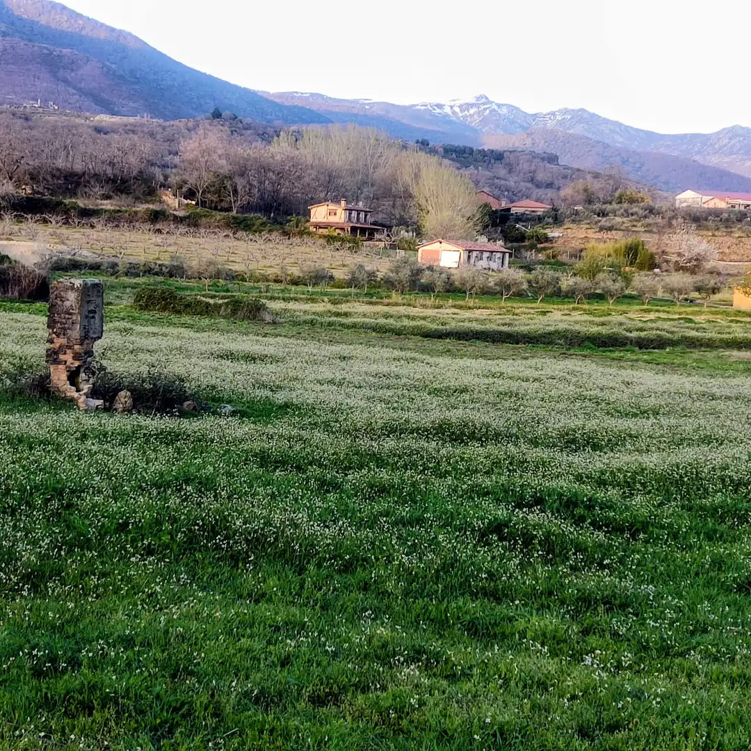 Terreni e lotti in vendita a Avenida de Doña Soledad Vega Ortiz, imagen 10