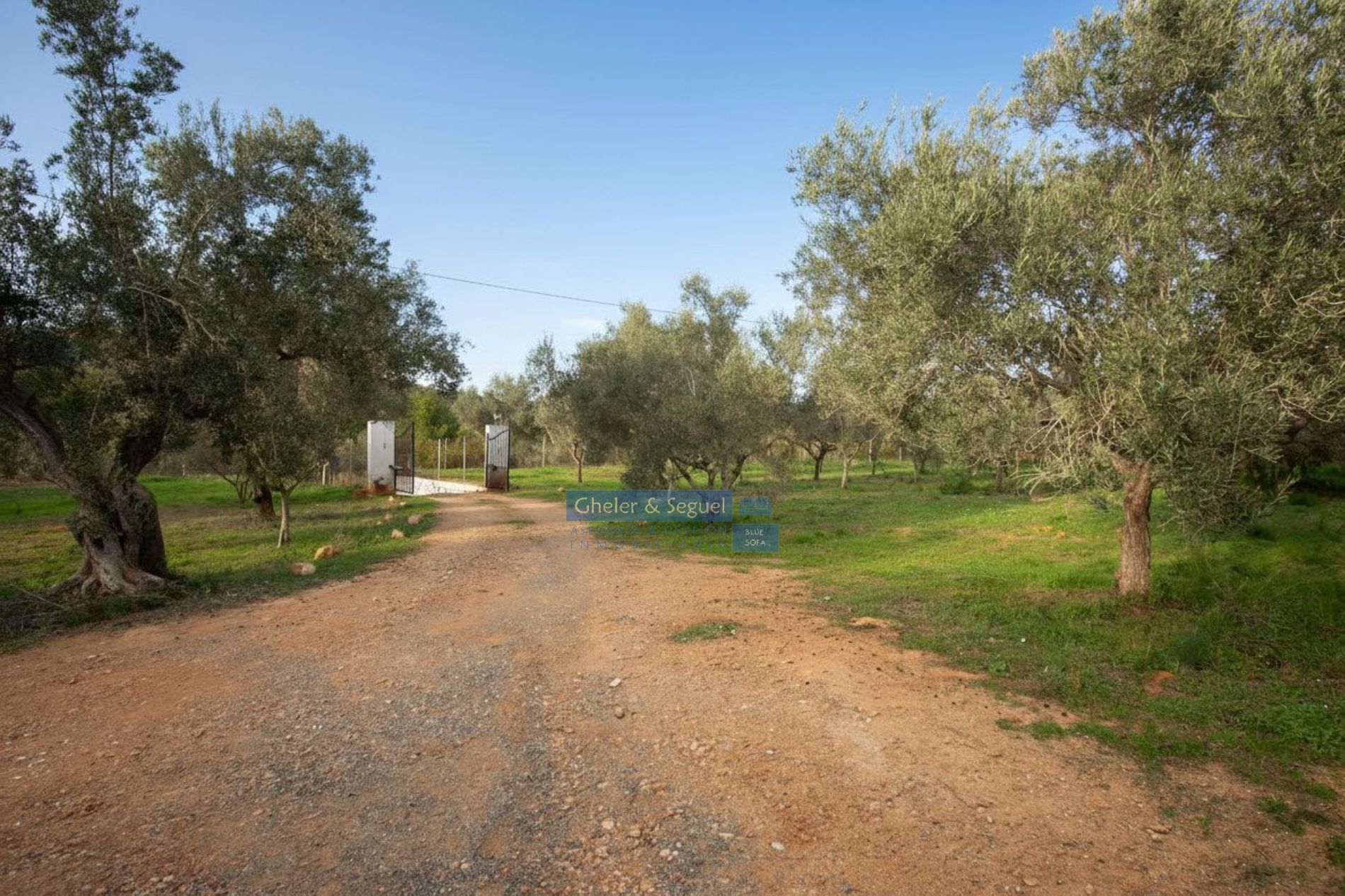Casa o xalet en venda en Algímia de Alfara