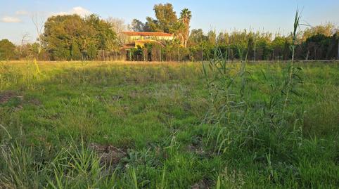 Photo 3 of Land for sale in Oliva Nova, Valencia